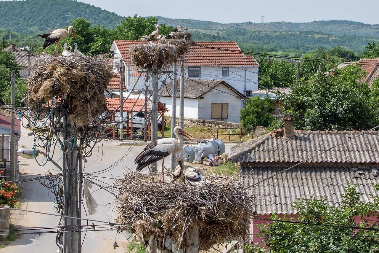 Bed & Breakfast Delikates Stojakovo Exterior photo